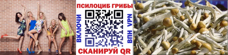 Галлюциногенные грибы ЛСД  купить наркоту  hydra зеркало  Братск 